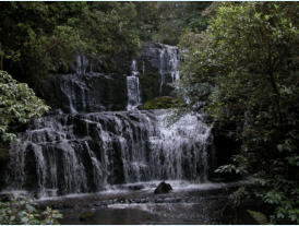 There are several spectacular waterfalls within driving distance of Kaka Point. Pictured is the significant Purakunui Falls only five minutes walk from the road.